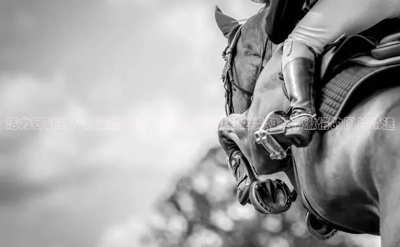 J9九游会老哥俱乐部