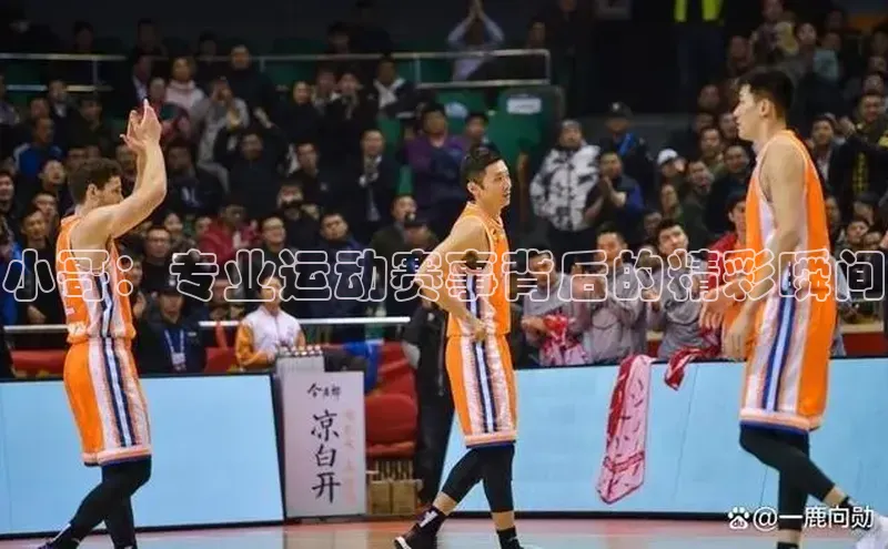 j9九游真人游戏第一品牌登录入口